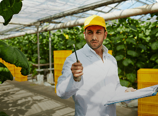 خدمة الإنشاء والتنفيذ 