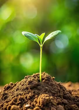 أجري كشك نقدم لك الحلول الزراعية المتكاملة مع خدمات استشارية ودعم فني لضمان نجاح مشروعك الزراعي.